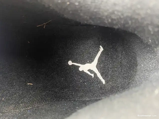 Boostmaster lin 487471-407 Jordan Retro Laney 14 0508